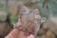 Natural Hematoid Quartz Specimens x 12 From Karoi, Zimbabwe - Toprock Gemstones and Minerals 
