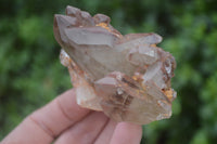 Natural Hematoid Quartz Specimens x 12 From Karoi, Zimbabwe - Toprock Gemstones and Minerals 