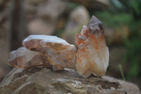 Natural Hematoid Quartz Specimens x 12 From Karoi, Zimbabwe - Toprock Gemstones and Minerals 