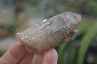 Natural Hematoid Quartz Specimens x 12 From Karoi, Zimbabwe - Toprock Gemstones and Minerals 