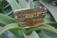 Polished On One Side Nguni Jasper Specimens x 2 From Prieska, South Africa - Toprock Gemstones and Minerals 