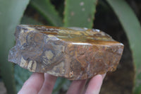 Polished On One Side Nguni Jasper Specimens x 2 From Prieska, South Africa - Toprock Gemstones and Minerals 