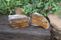 Polished On One Side Nguni Jasper Specimens x 2 From Prieska, South Africa - Toprock Gemstones and Minerals 