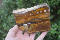 Polished On One Side Nguni Jasper Specimens x 2 From Prieska, South Africa - Toprock Gemstones and Minerals 