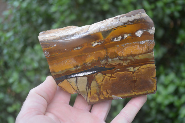 Polished On One Side Nguni Jasper Specimens x 2 From Prieska, South Africa - Toprock Gemstones and Minerals 