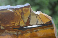 Polished On One Side Nguni Jasper Specimens x 2 From Prieska, South Africa - Toprock Gemstones and Minerals 
