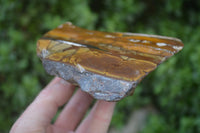 Polished On One Side Nguni Jasper Specimens x 2 From Prieska, South Africa - Toprock Gemstones and Minerals 