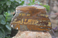 Polished On One Side Nguni Jasper Specimens x 2 From Prieska, South Africa - Toprock Gemstones and Minerals 