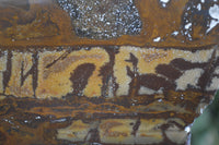 Polished On One Side Nguni Jasper Specimens x 2 From Prieska, South Africa - Toprock Gemstones and Minerals 