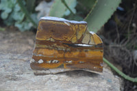Polished On One Side Nguni Jasper Specimens x 2 From Prieska, South Africa - Toprock Gemstones and Minerals 