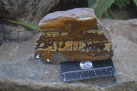Polished On One Side Nguni Jasper Specimens x 2 From Prieska, South Africa - Toprock Gemstones and Minerals 