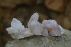 Natural Ametrine Spirit Quartz Specimens x 20 From Boekenhouthoek, South Africa - Toprock Gemstones and Minerals 