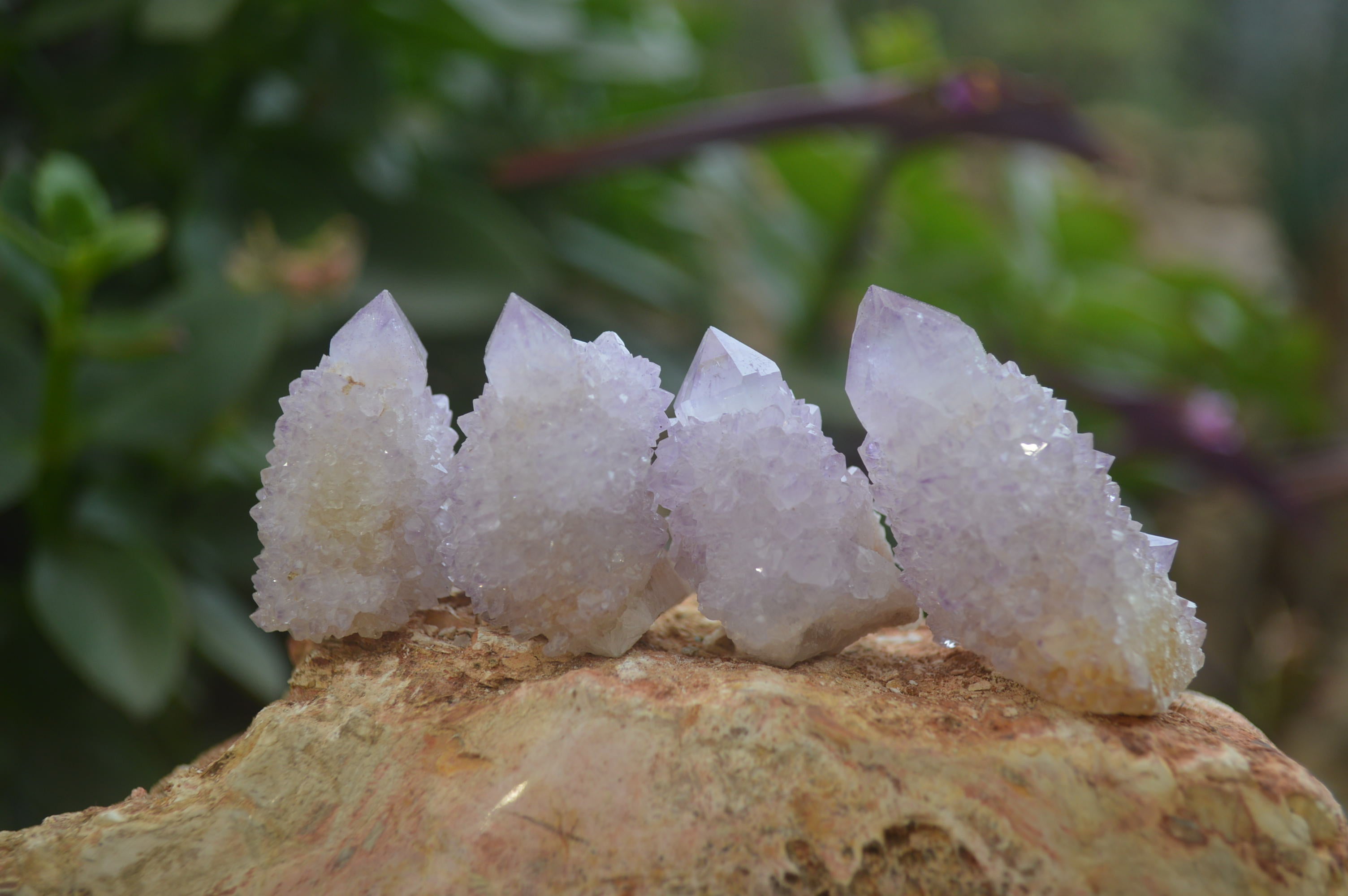 Natural Ametrine Spirit Quartz Specimens x 20 From Boekenhouthoek, South Africa - Toprock Gemstones and Minerals 