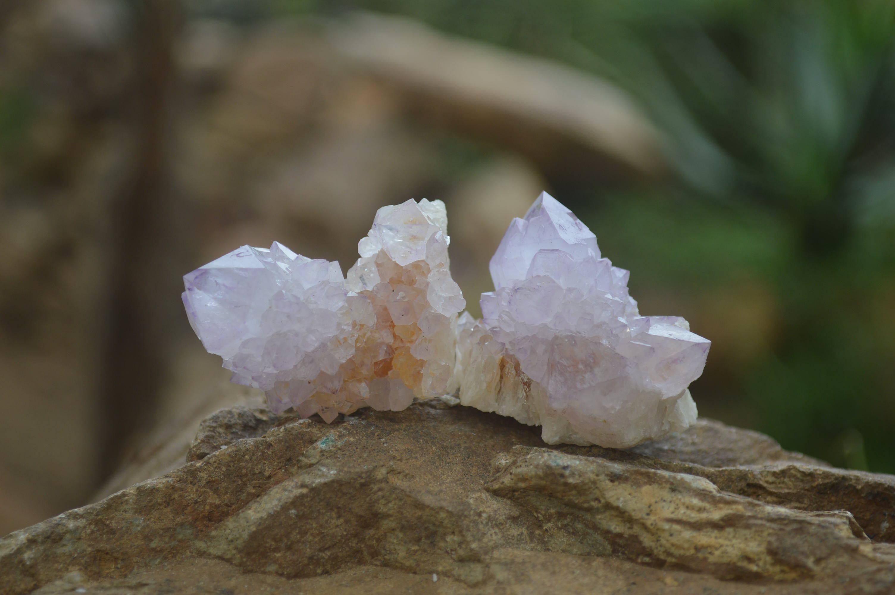 Natural Ametrine Spirit Quartz Specimens x 20 From Boekenhouthoek, South Africa - Toprock Gemstones and Minerals 