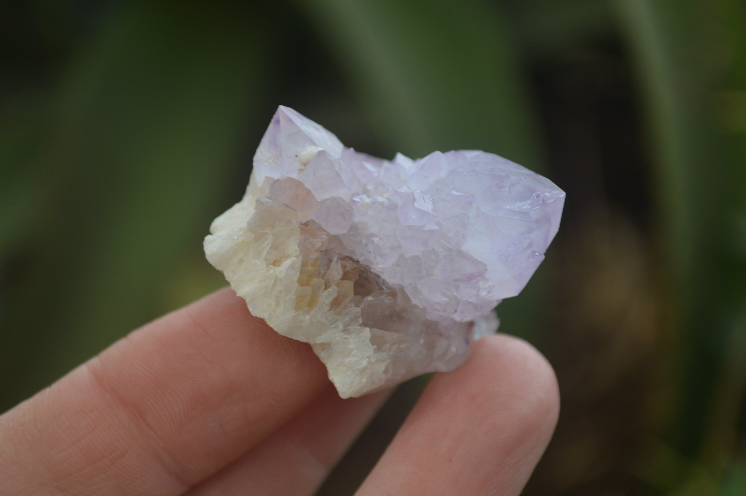 Natural Ametrine Spirit Quartz Specimens x 20 From Boekenhouthoek, South Africa - Toprock Gemstones and Minerals 