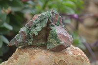 Natural Salrose Cobaltion Dolomite Specimens x 6 From Kakanda, Congo - Toprock Gemstones and Minerals 