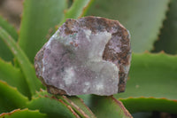 Natural Salrose Cobaltion Dolomite Specimens x 6 From Kakanda, Congo - Toprock Gemstones and Minerals 