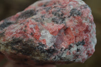 Natural Rhodonite Cobbed Specimens x 6 From Zimbabwe - Toprock Gemstones and Minerals 