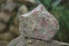 Natural Rhodonite Cobbed Specimens x 6 From Zimbabwe - Toprock Gemstones and Minerals 
