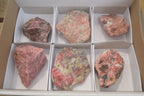 Natural Rhodonite Cobbed Specimens x 6 From Zimbabwe - Toprock Gemstones and Minerals 