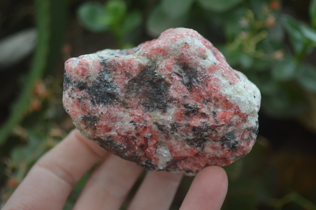 Natural Rhodonite Cobbed Specimens x 6 From Zimbabwe - Toprock Gemstones and Minerals 