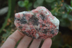 Natural Rhodonite Cobbed Specimens x 6 From Zimbabwe - Toprock Gemstones and Minerals 