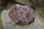 Natural Rhodonite Cobbed Specimens x 6 From Zimbabwe - Toprock Gemstones and Minerals 