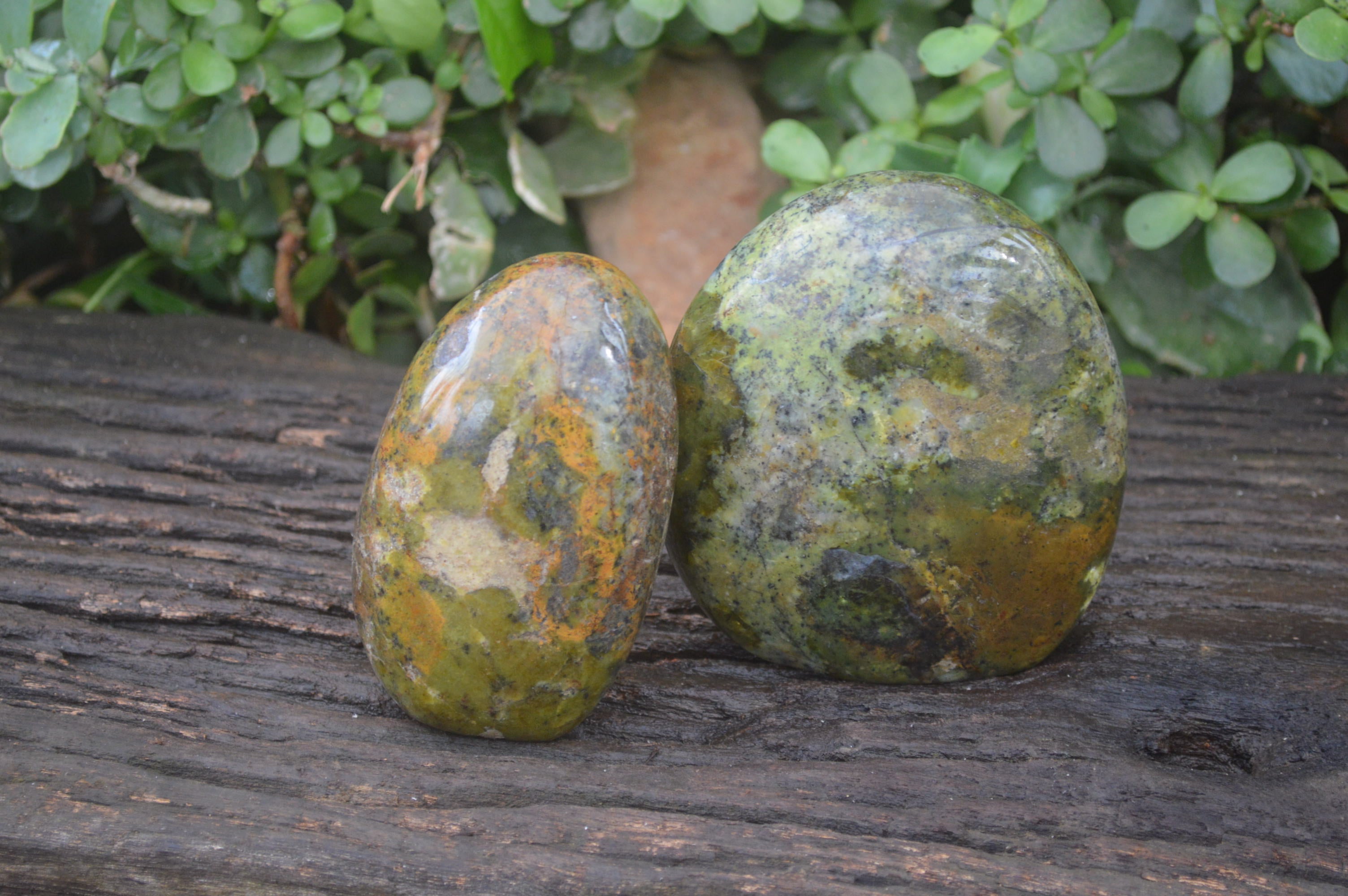 Polished Green Opal Standing Free Forms x 2 From Antsirabe, Madagascar - Toprock Gemstones and Minerals 