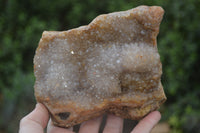 Natural Zululand Dark Amethyst Geodes x 3 from Jozini, South Africa - Toprock Gemstones and Minerals 