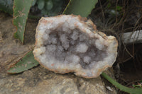 Natural Zululand Dark Amethyst Geodes x 3 from Jozini, South Africa - Toprock Gemstones and Minerals 