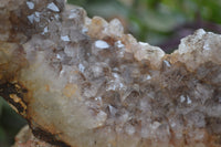 Natural Zululand Dark Amethyst Geodes x 3 from Jozini, South Africa - Toprock Gemstones and Minerals 