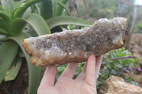 Natural Zululand Dark Amethyst Geodes x 3 from Jozini, South Africa - Toprock Gemstones and Minerals 