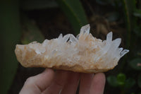Natural Quartz Clusters x 6 From Madagascar - Toprock Gemstones and Minerals 