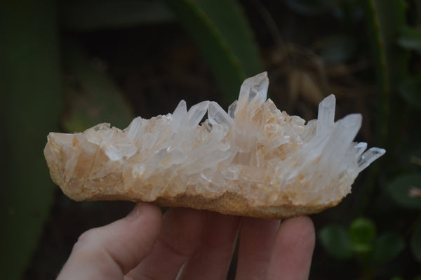 Natural Quartz Clusters x 6 From Madagascar - Toprock Gemstones and Minerals 
