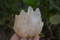 Natural Quartz Clusters x 6 From Madagascar - Toprock Gemstones and Minerals 