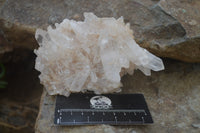 Natural Quartz Clusters x 6 From Madagascar - Toprock Gemstones and Minerals 