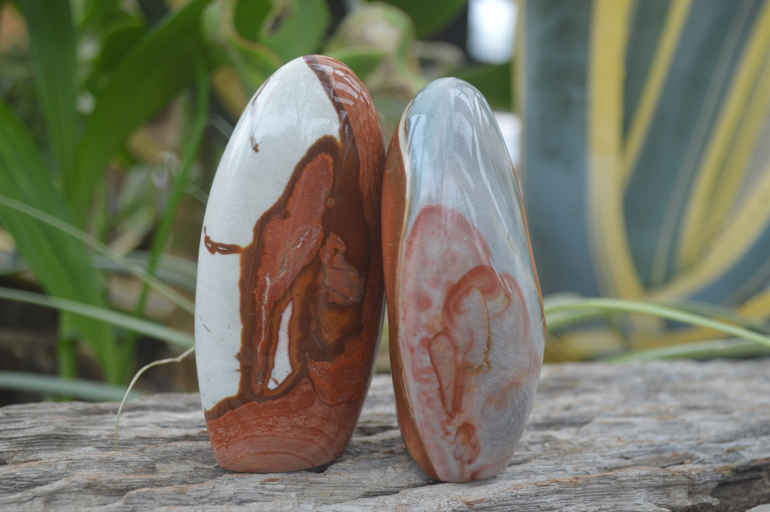 Polished Polychrome Jasper Standing Free Forms x 4 From Madagascar - Toprock Gemstones and Minerals 
