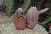 Polished Polychrome Jasper Standing Free Forms x 4 From Madagascar - Toprock Gemstones and Minerals 