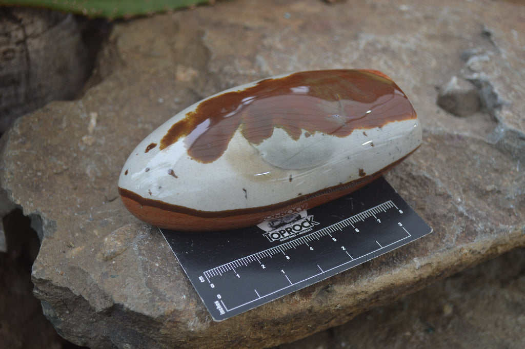 Polished Polychrome Jasper Standing Free Forms x 4 From Madagascar - Toprock Gemstones and Minerals 