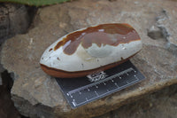 Polished Polychrome Jasper Standing Free Forms x 4 From Madagascar - Toprock Gemstones and Minerals 