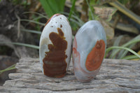 Polished Polychrome Jasper Standing Free Forms x 4 From Madagascar - Toprock Gemstones and Minerals 