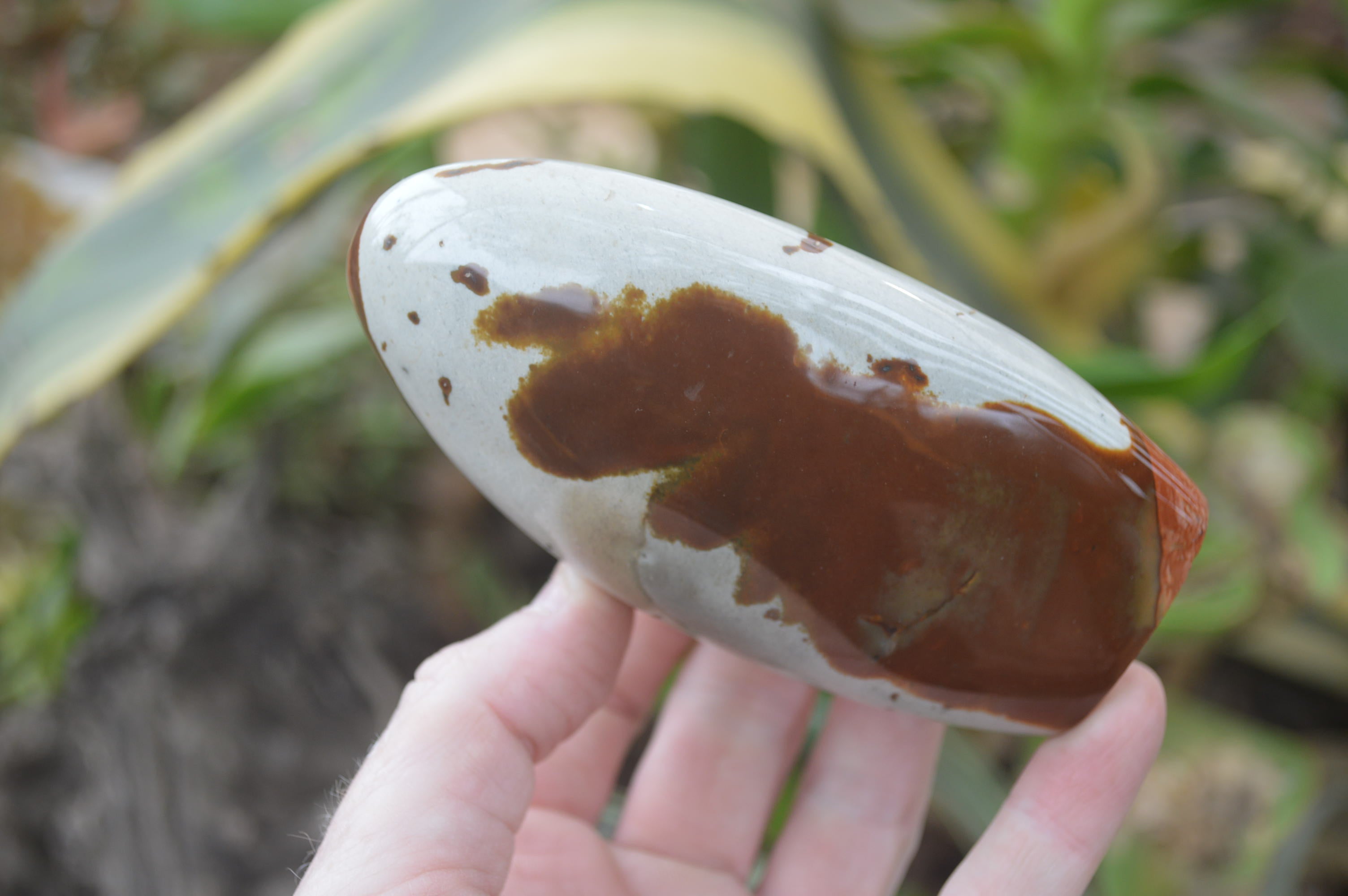 Polished Polychrome Jasper Standing Free Forms x 4 From Madagascar - Toprock Gemstones and Minerals 