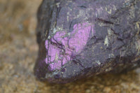 Natural Metallic Purpurite Cobbed Specimens x 6 From Erongo, Namibia - Toprock Gemstones and Minerals 