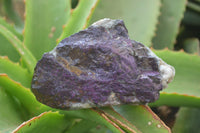 Natural Metallic Purpurite Cobbed Specimens x 6 From Erongo, Namibia - Toprock Gemstones and Minerals 