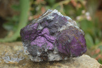 Natural Metallic Purpurite Cobbed Specimens x 6 From Erongo, Namibia - Toprock Gemstones and Minerals 