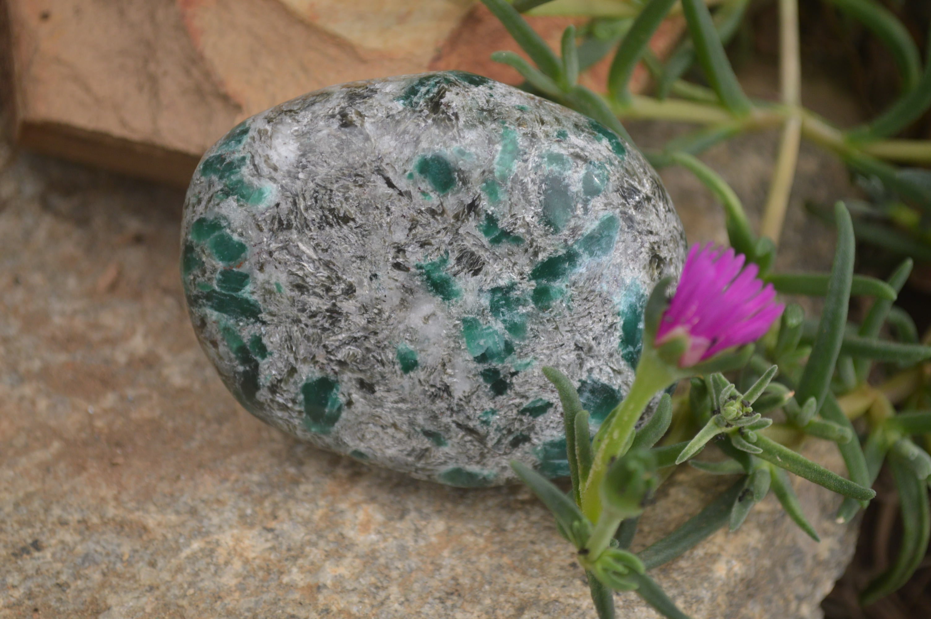 Polished Rare Emerald Mica In Matrix Free Forms x 6 From Mutoko, Zimbabwe - Toprock Gemstones and Minerals 