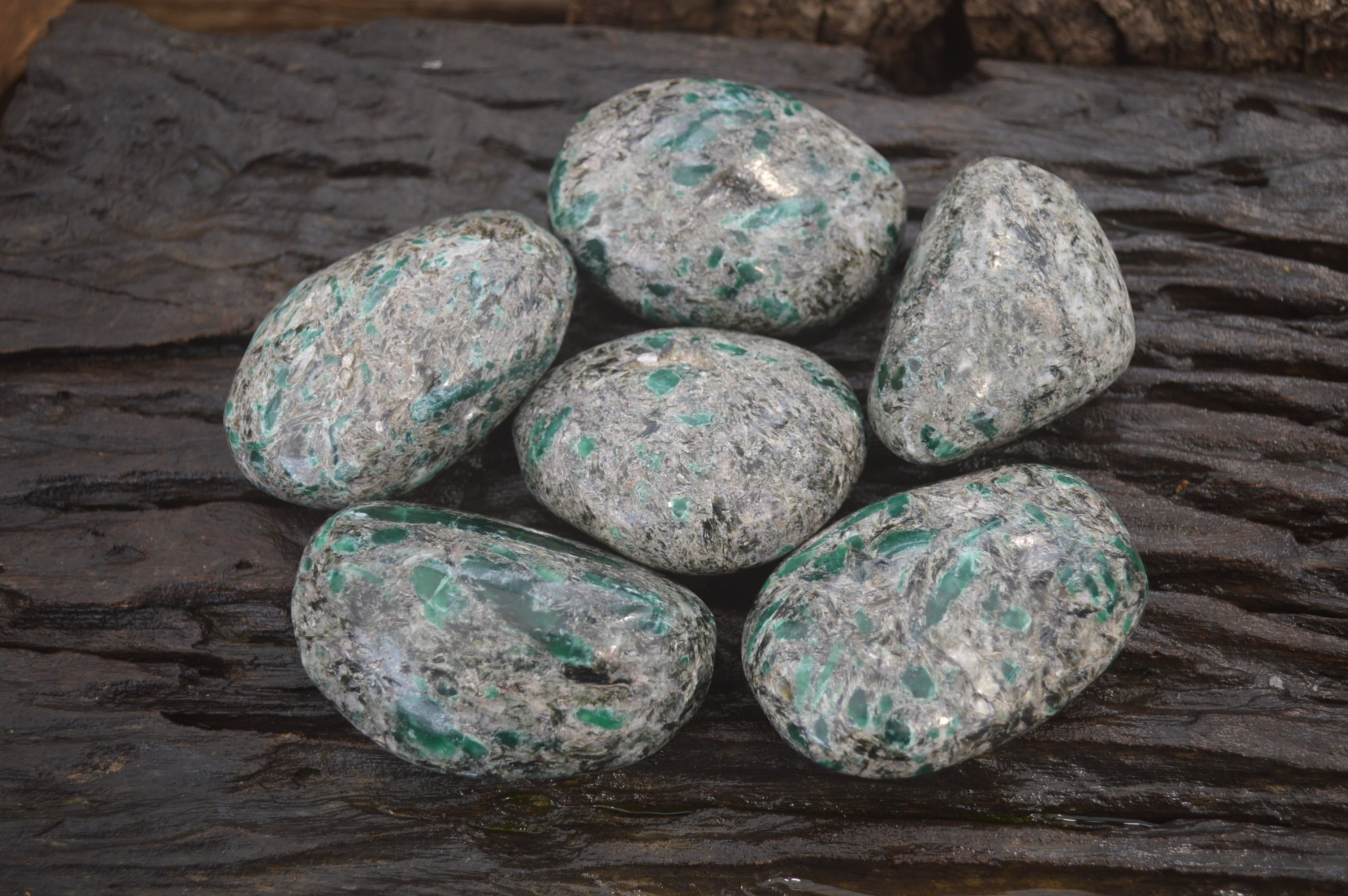 Polished Rare Emerald Mica In Matrix Free Forms x 6 From Mutoko, Zimbabwe - Toprock Gemstones and Minerals 