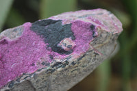Natural Salrose Cobaltion Dolomite Specimens x 4 From Kakanda, Congo - Toprock Gemstones and Minerals 