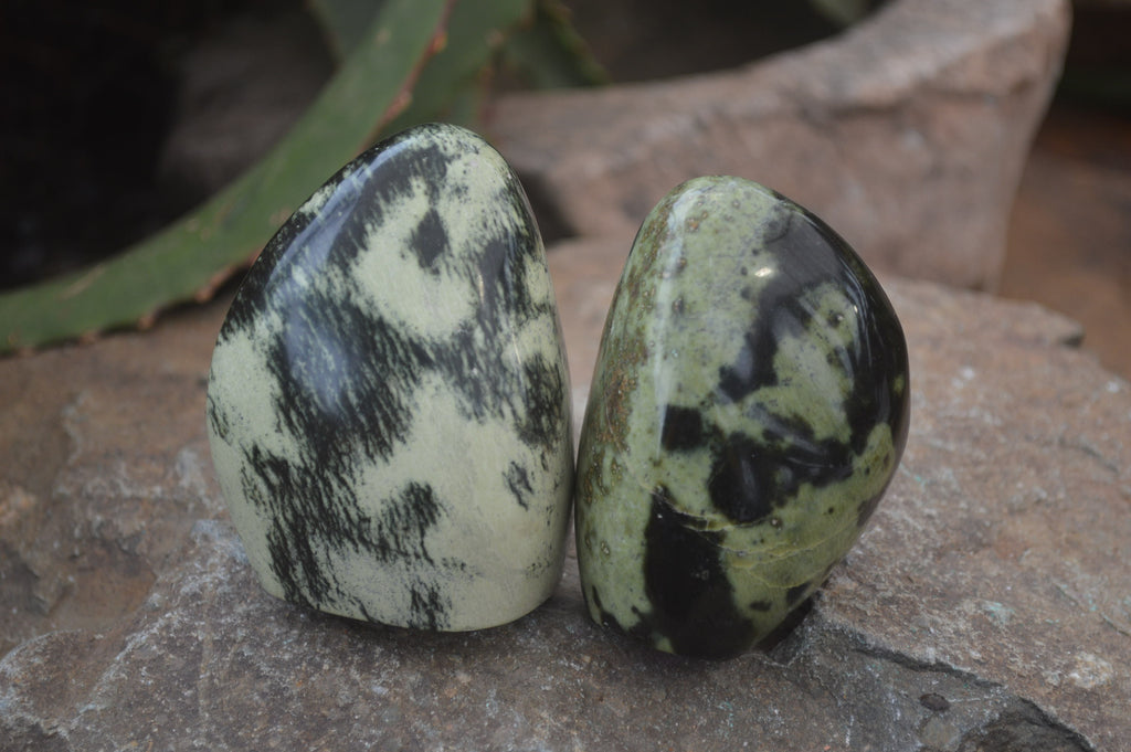 Leopard Spot Rocks Polished Leopard Stone Standing Free Forms x 6 From Nyanga, Zimbabwe ...