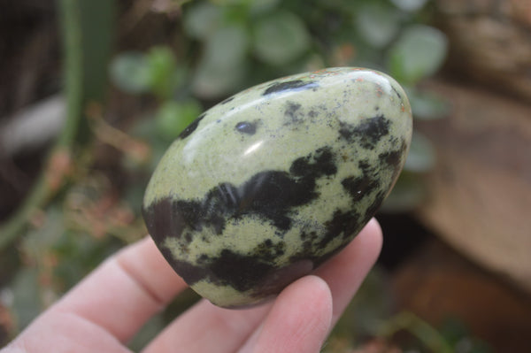 Polished Leopard Stone Standing Free Forms x 6 From Nyanga, Zimbabwe - Toprock Gemstones and Minerals 
